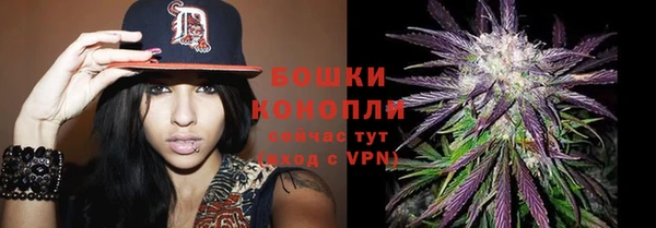 стафф Бородино