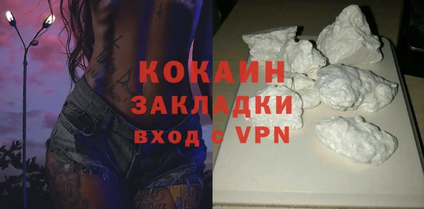 стафф Бородино
