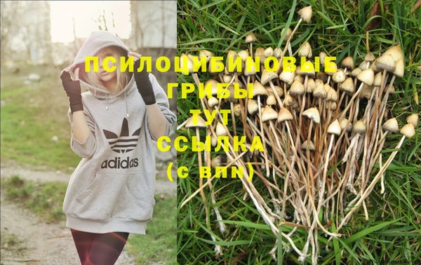 дмт Бронницы