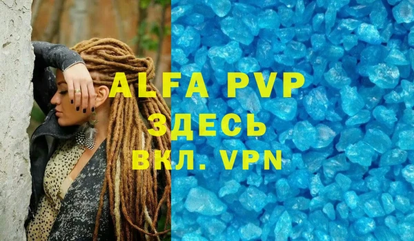 стафф Бородино
