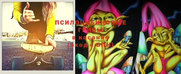 стафф Бородино