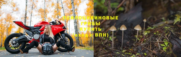 дмт Бронницы