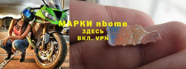 стафф Бородино