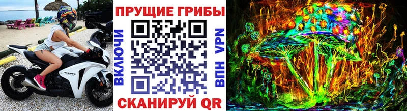 Псилоцибиновые грибы мухоморы  Купить закладки  Бабаево 